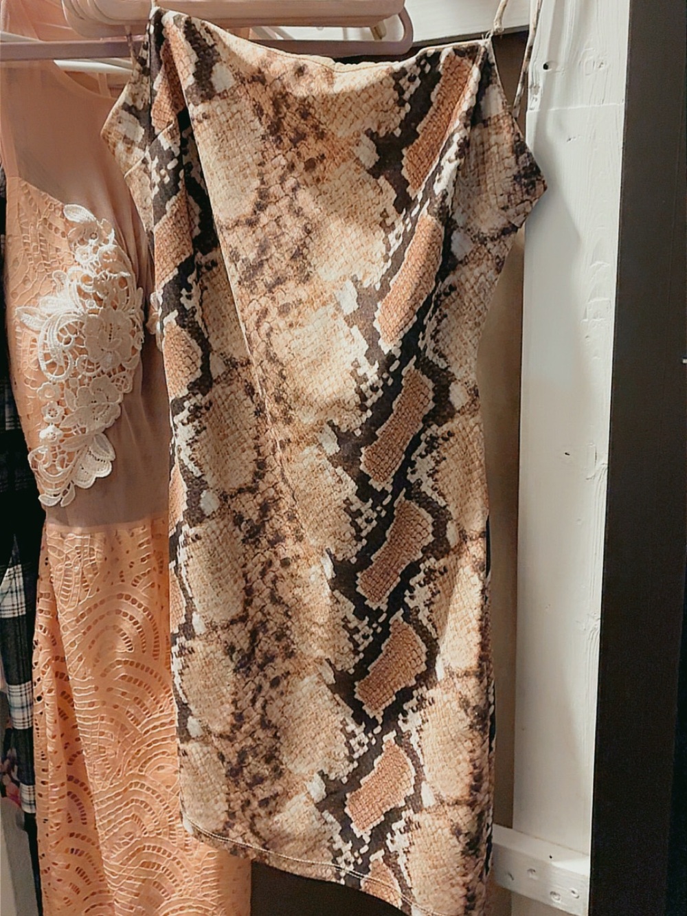 Lovely Day Snake Print Dress in Beige, Brown and Black
